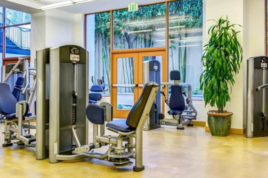 Cozy 2 Bedroom 2 Bathroom With Pool, Gym, Los Ángeles